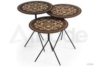 CT3196 Nesting Table
